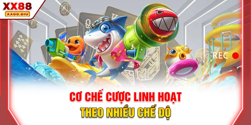 Cơ chế cược linh hoạt theo nhiều chế độ