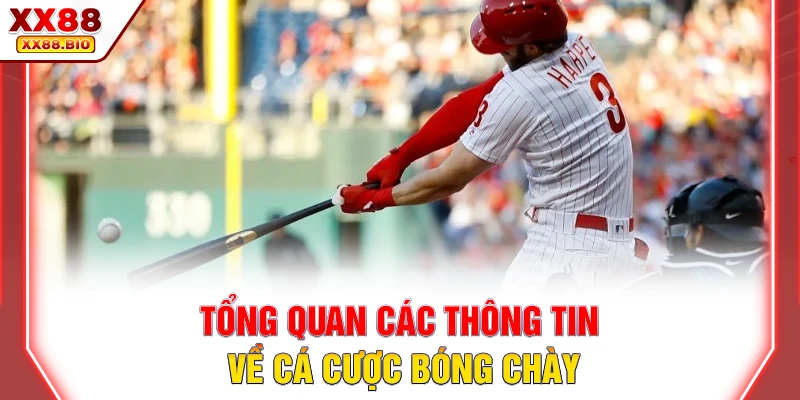 Tổng quan các thông tin về cá cược bóng chày